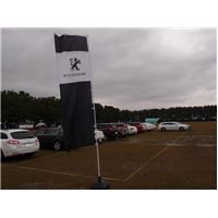 Peugeot Meeting16-08.JPG